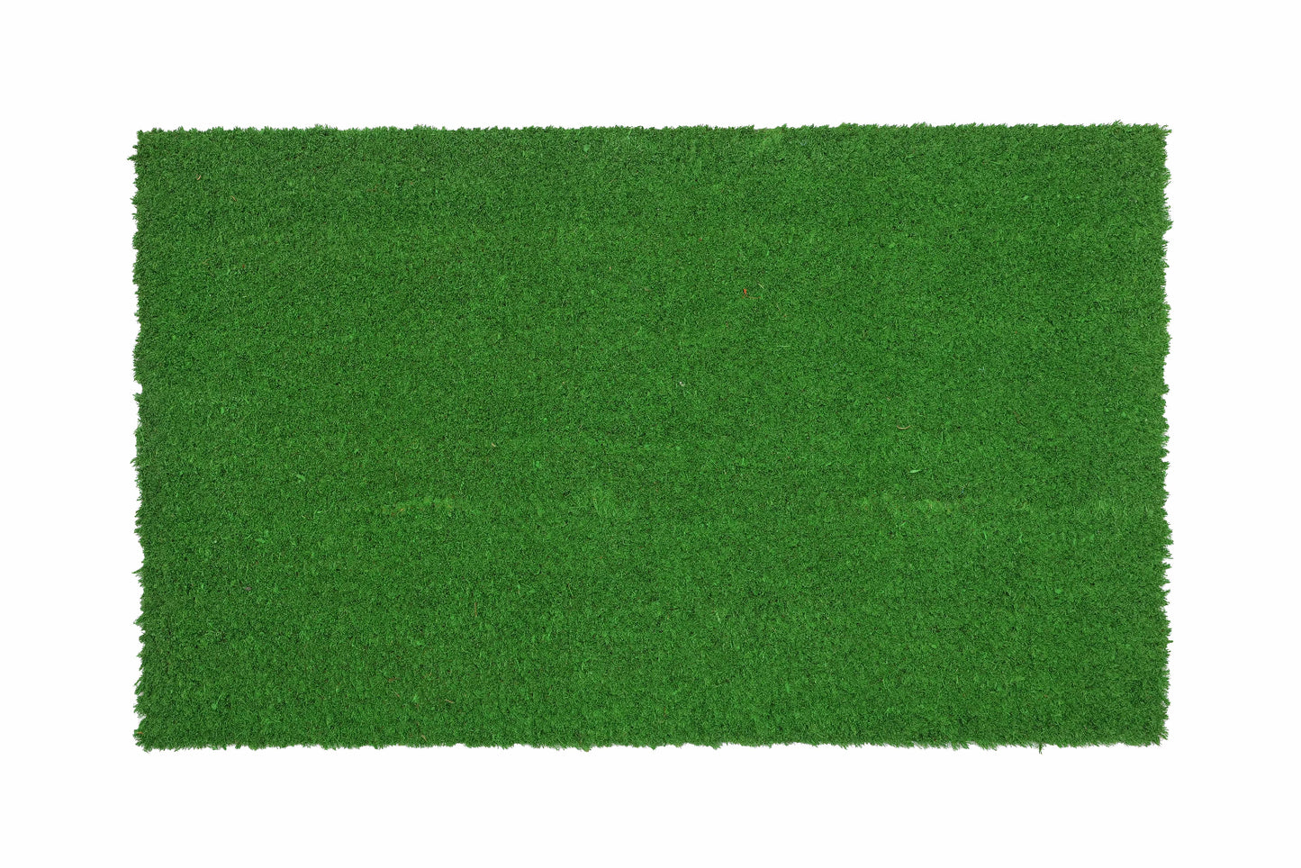 A plain green colour coir entrance door mat with a PVC backing.