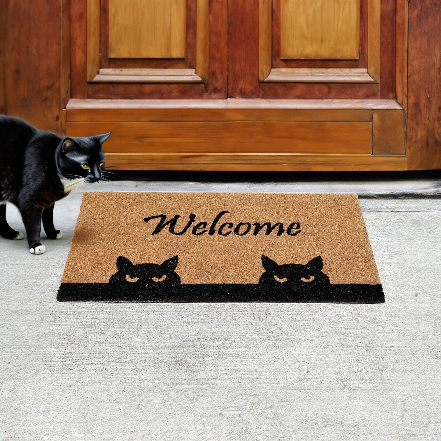 Doormat with 'Welcome' and cat designs in front of a wooden door, with a black cat inspecting it.