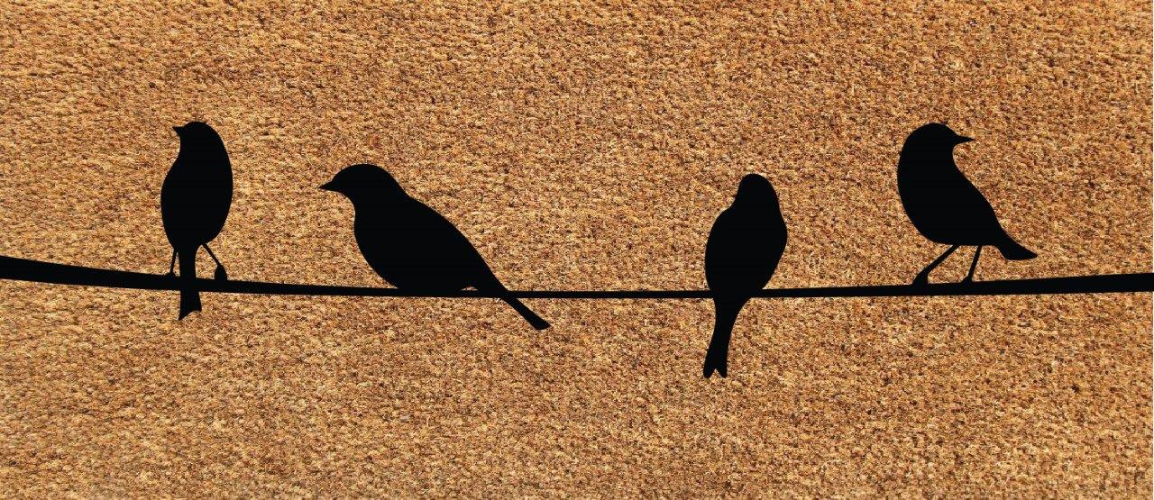 Metallic Traymat with Removable Coir Inserts - OnlyMat