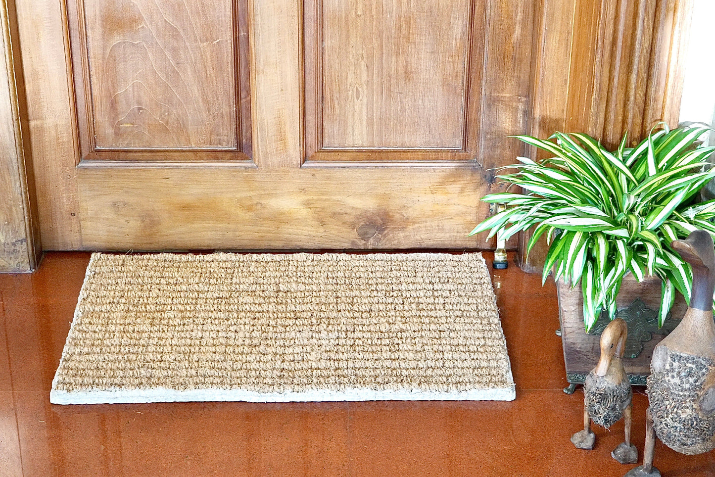 Coir Doormat in front of a wooden door with a plant and decorative items on the floor.