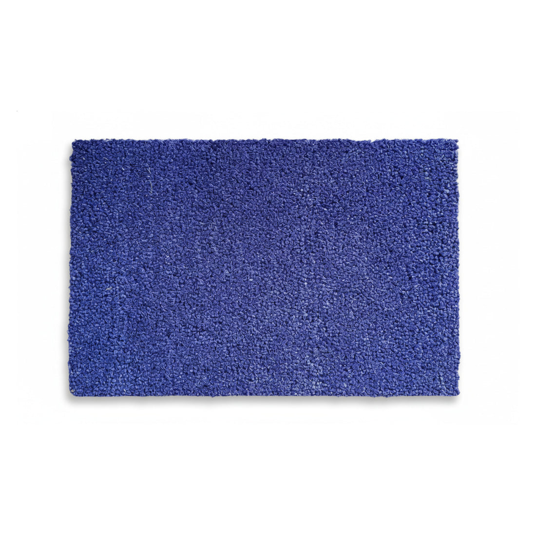 
                      
                        Blue rectangular coir doormat on a white background
                      
                    