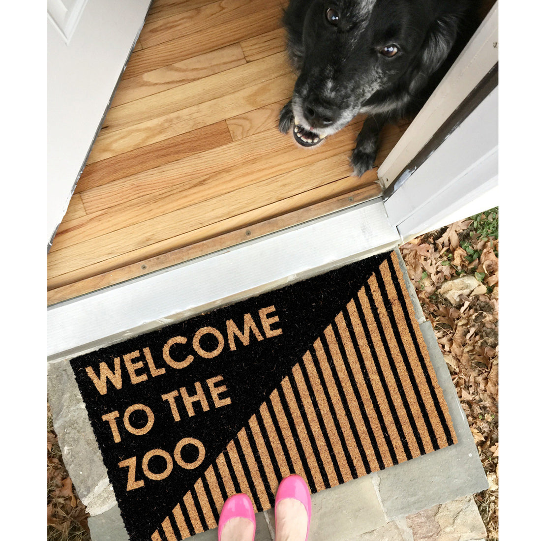A rectangular, black coir doormat with the text 'Welcome to THE ZOO' printed on it, placed on the doorstep with a dog and a person's feet visible in the image.
