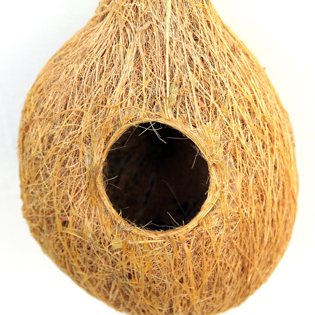 
                      
                        Eco-friendly Handmade Coir Bird Nest
                      
                    