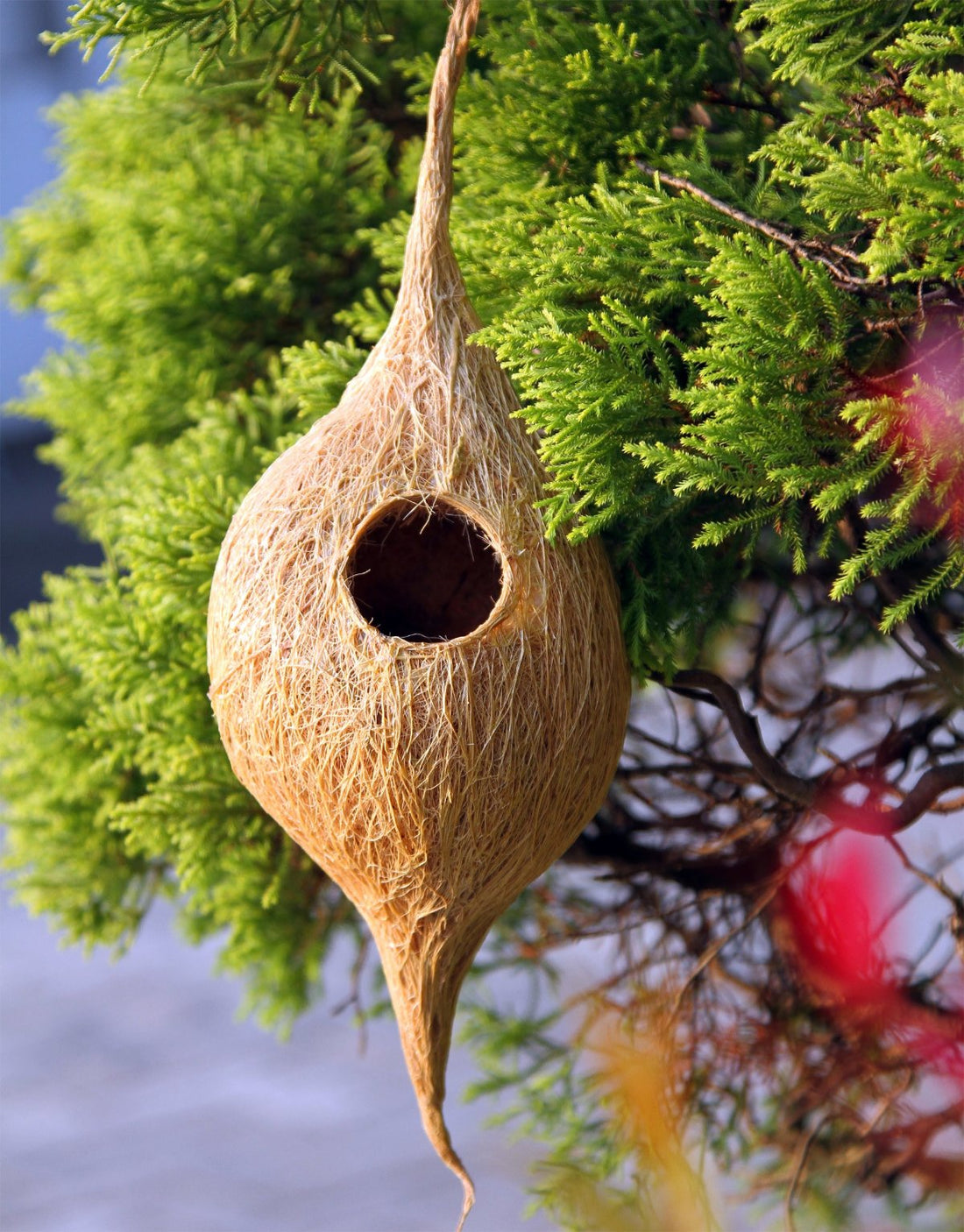 
                      
                        Eco-friendly Handmade Coir Bird Nest
                      
                    