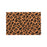 OnlyMat Leopard Design Printed Natural Coir Doormat - 40cm x 60cm