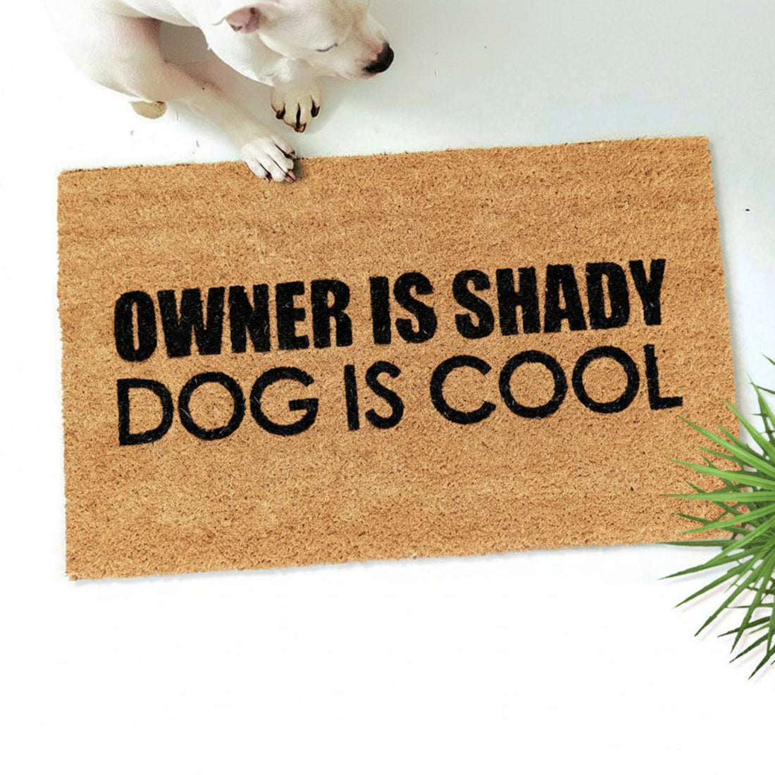 Rectangular natural coir floor mat with the text 'OWNER IS SHADY, DOG IS COOL' printed in black. The mat is placed on a white background with a dog's paw visible at the top, and a green plant at the bottom.